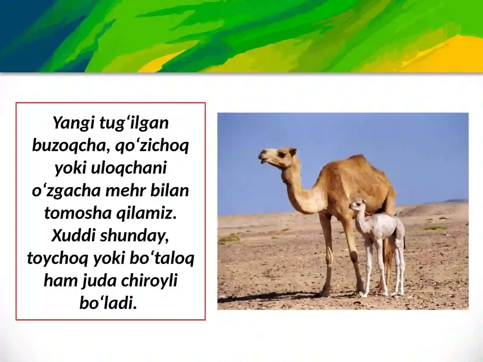 «Tuya bilan bo‘taloq» mavzusida haykal ishlash 2