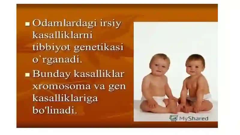 Geneologik usulning irsiy kasalliklarni aniqlashda qo’llanilishi 2