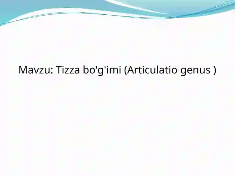 Tizza bo'g'imi (Articulatio genus) 2