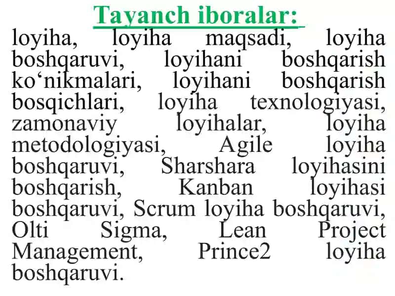 Strategik loyihalarni boshqarish:asosiy tushunchlar va kontseptual asoslar 2