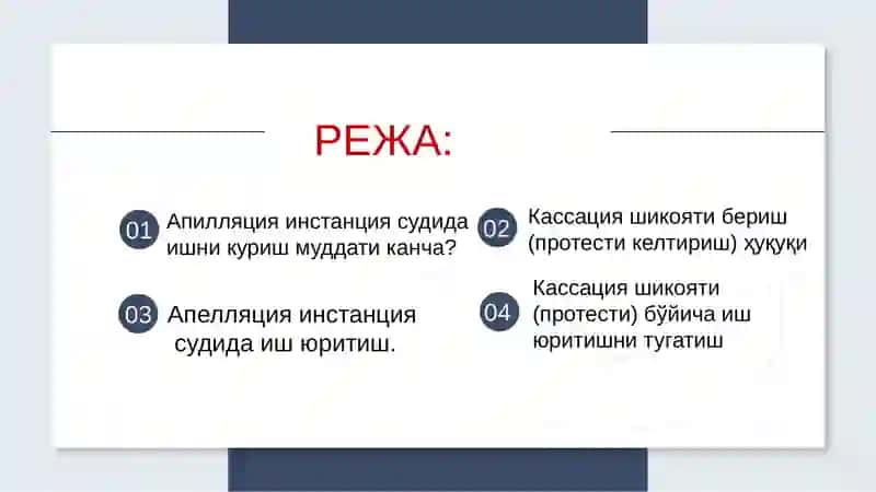 Апелляция инстанцияси хамда кассация инстанцияси судида иш юритиш 2