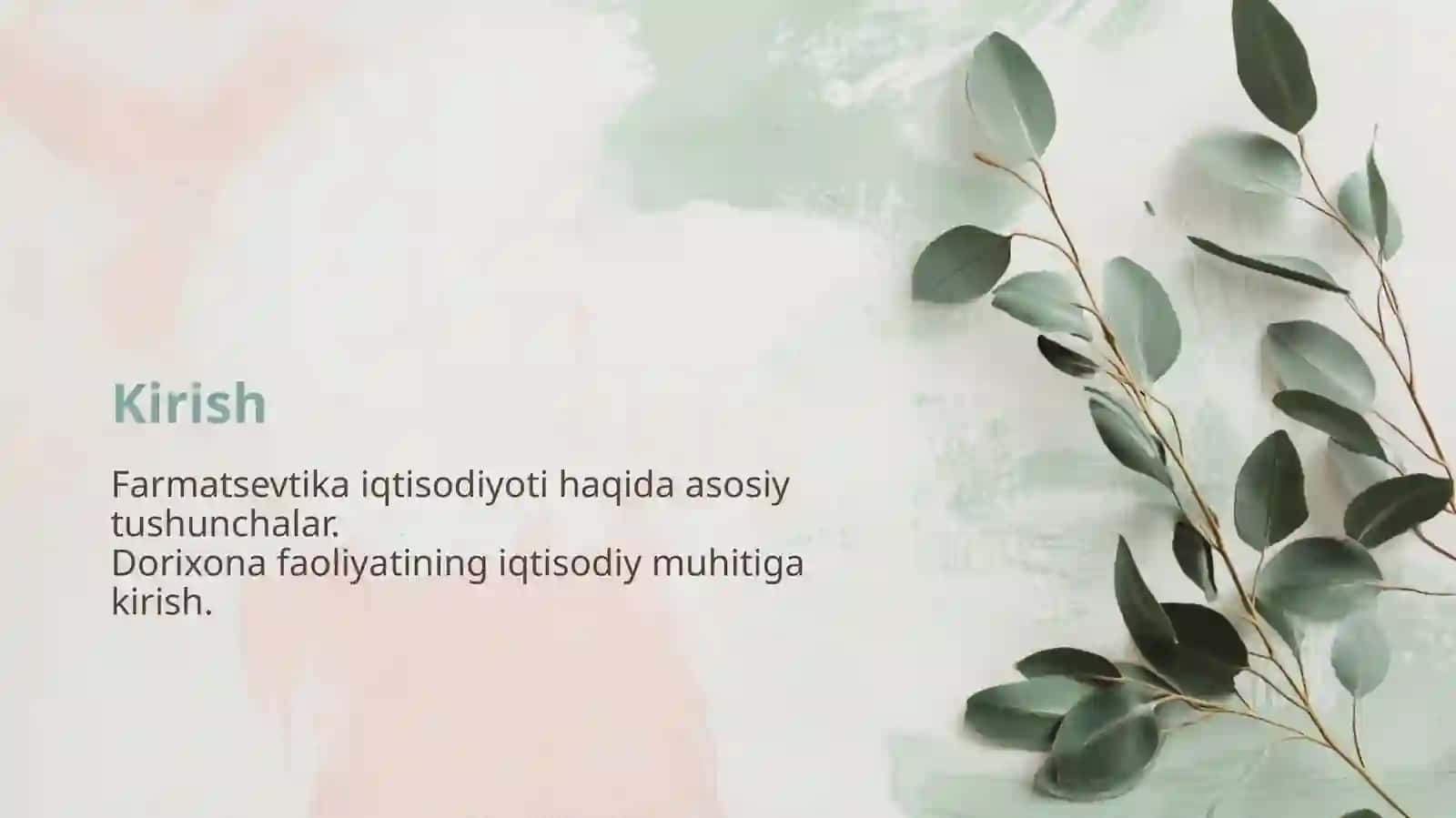 Farmatsevtika iqtisodiyoti asoslari. Dorixona tashkilotlari faoliyatining iqtisodiy muhiti 2