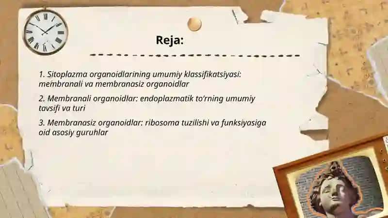 Sitoplazma organoidlarining klassifikatsiyasi 2