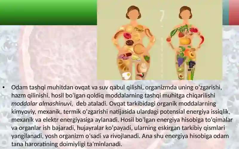 Moddalar va energiya almashinuvi haqida umumiy tushuncha 2