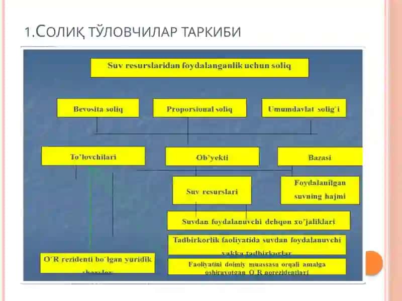 Солиқтўловчилар таркиби 2