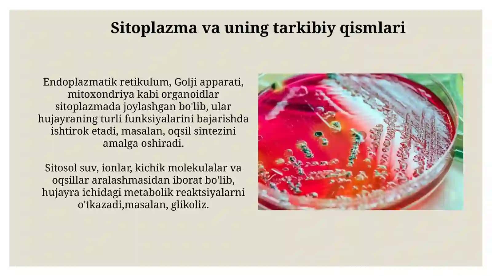 Sitologiyavahujayrahaqidagifan 2