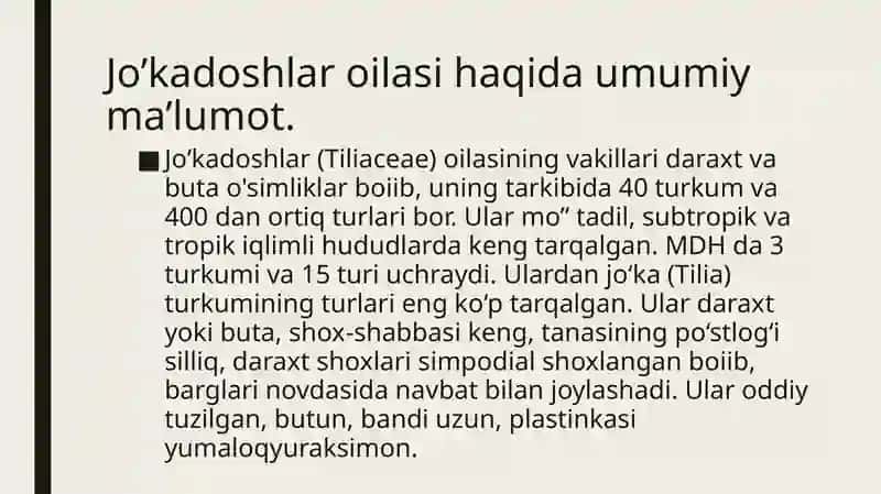 Jo’kadoshlar oilasi va dorivor xususiyatlari 2
