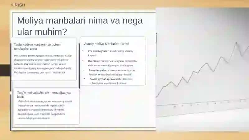 Tadbirkorlik subyektlari uchun moliya manbalari slayd 2