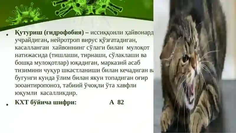 Quturish kasalligi 2