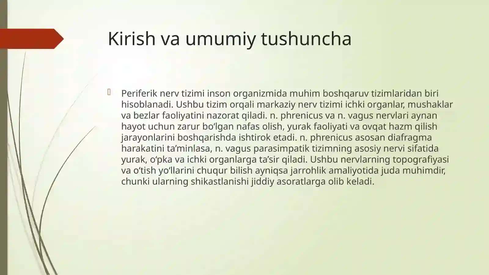 Nervlar(n.phrenicus, n.vagus)topografiyasiO‘tishyo‘li 2