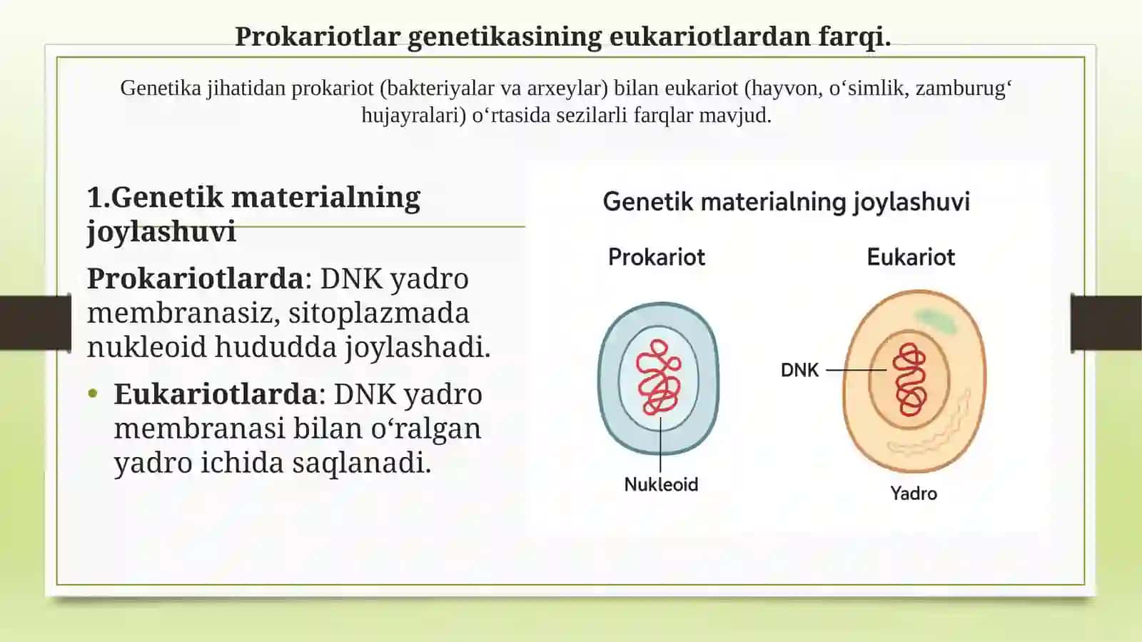 Mikroorganizmlar genetikasi 2