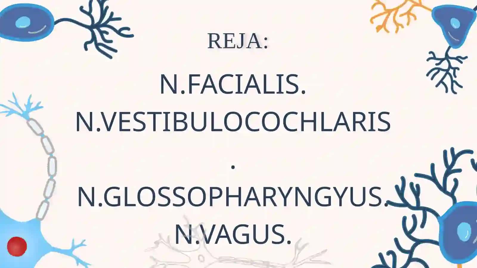 VII-IX BOSH MIYA NERVLARI.ADASHGAN NERV 2