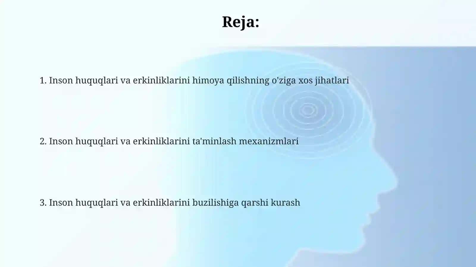 Inson huquqlari va erkinliklarini himoya qilishning o'ziga xos jihatlari 2