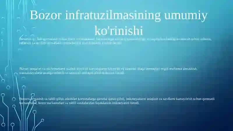 Biznes Subyektlariga Hizmat Ko'Rstuvchi Bozor Infratuzilmalari 2