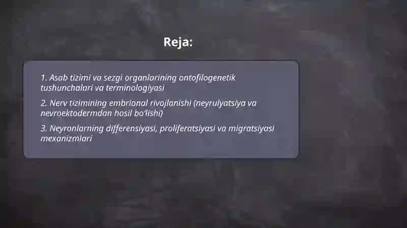Asab tizimi va sezgi organlarining ontofilogenezi. Sezgi organlarining ontofilogenezi 2