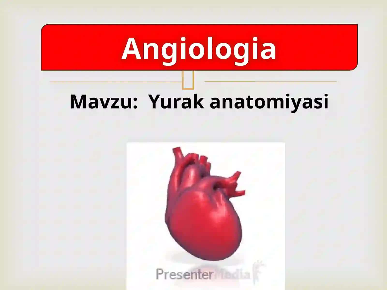 Yurakanatomiyasi 2