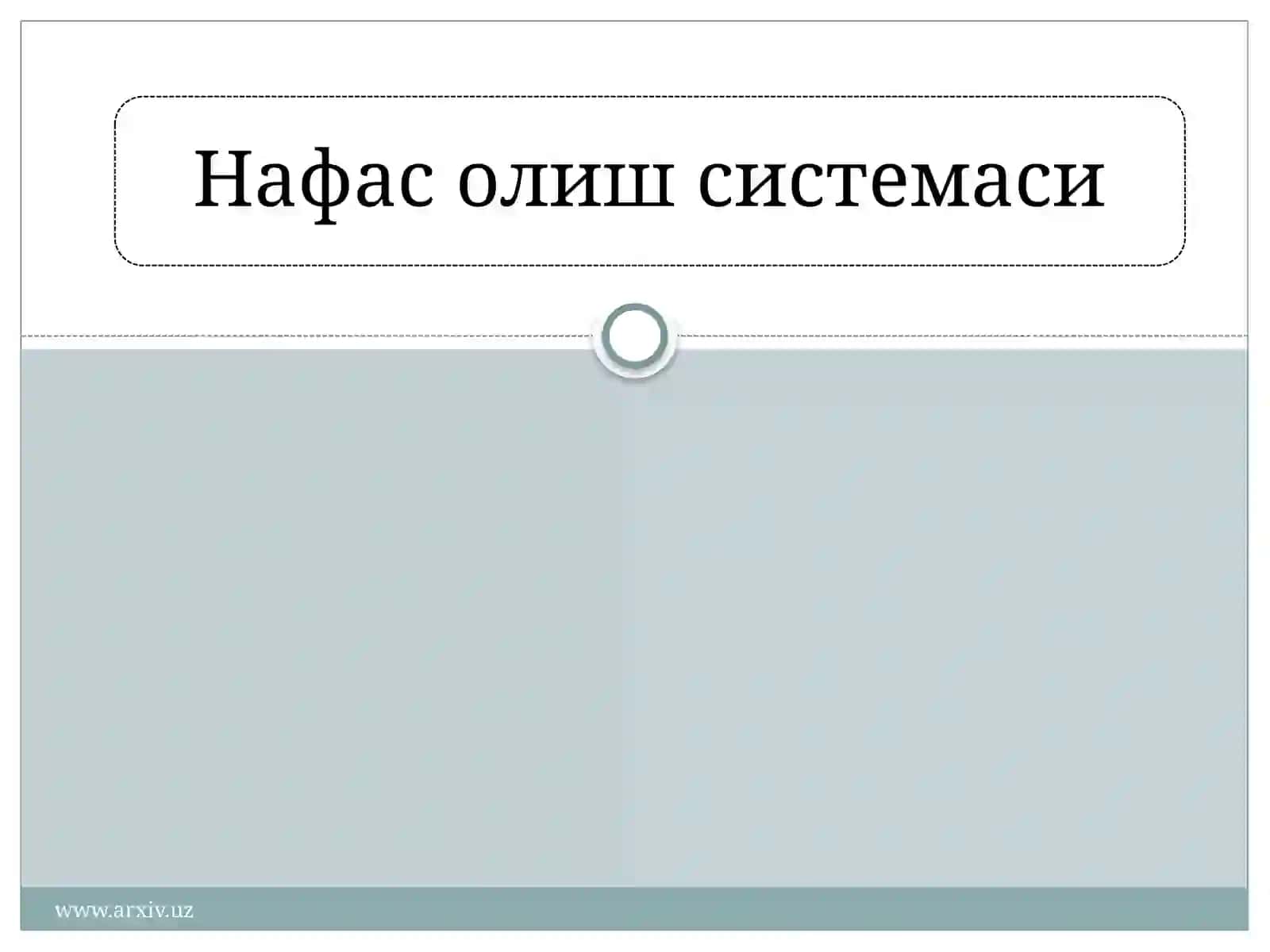 Маннонова Мохинурнинг Нормал физиалогия фанидан РЕФЕРАТИ 2