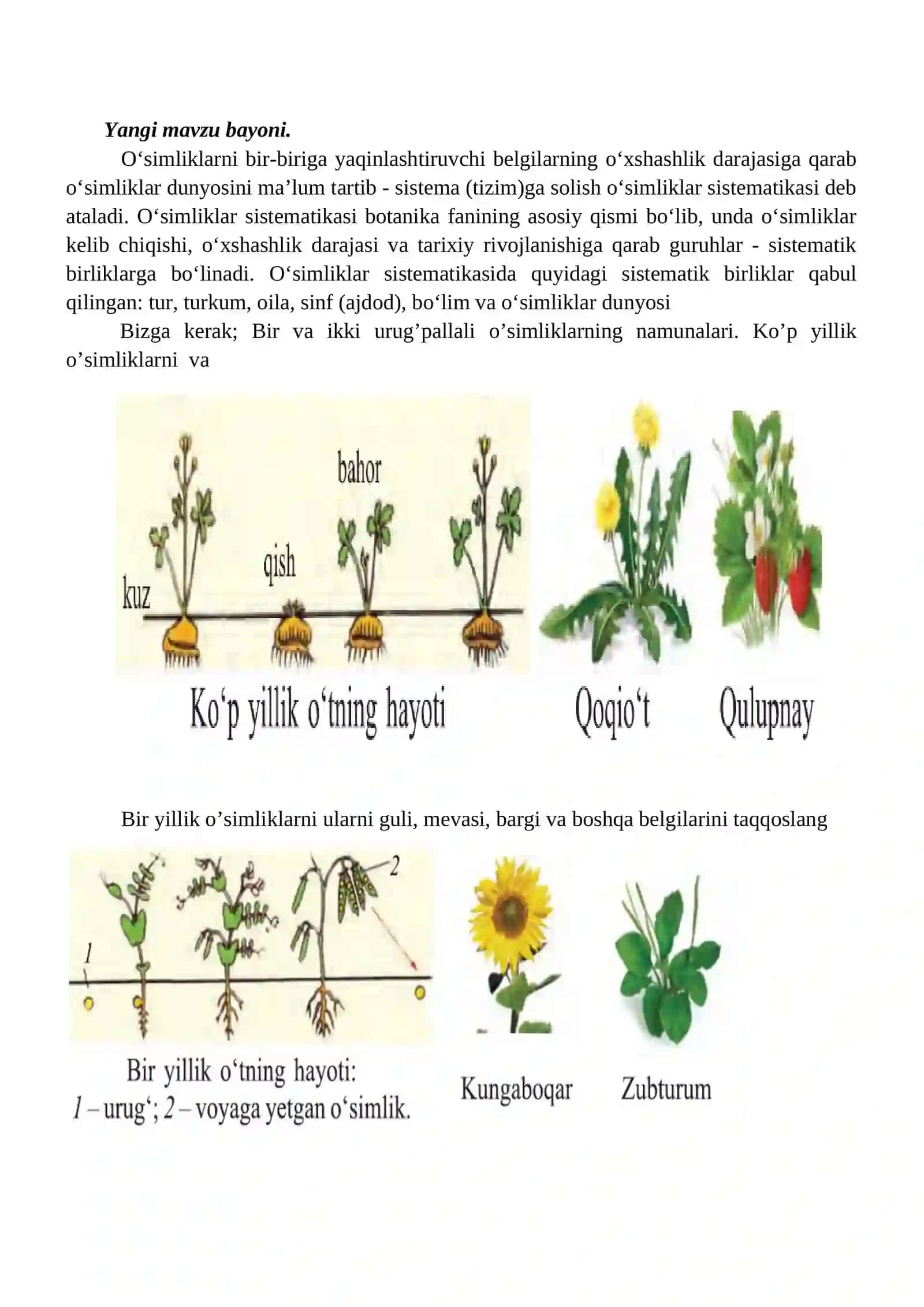 6-sinf Tabiiy fanidan O'simliklar sistematikasini o'rganish ochiq dars ishlanmasi 2