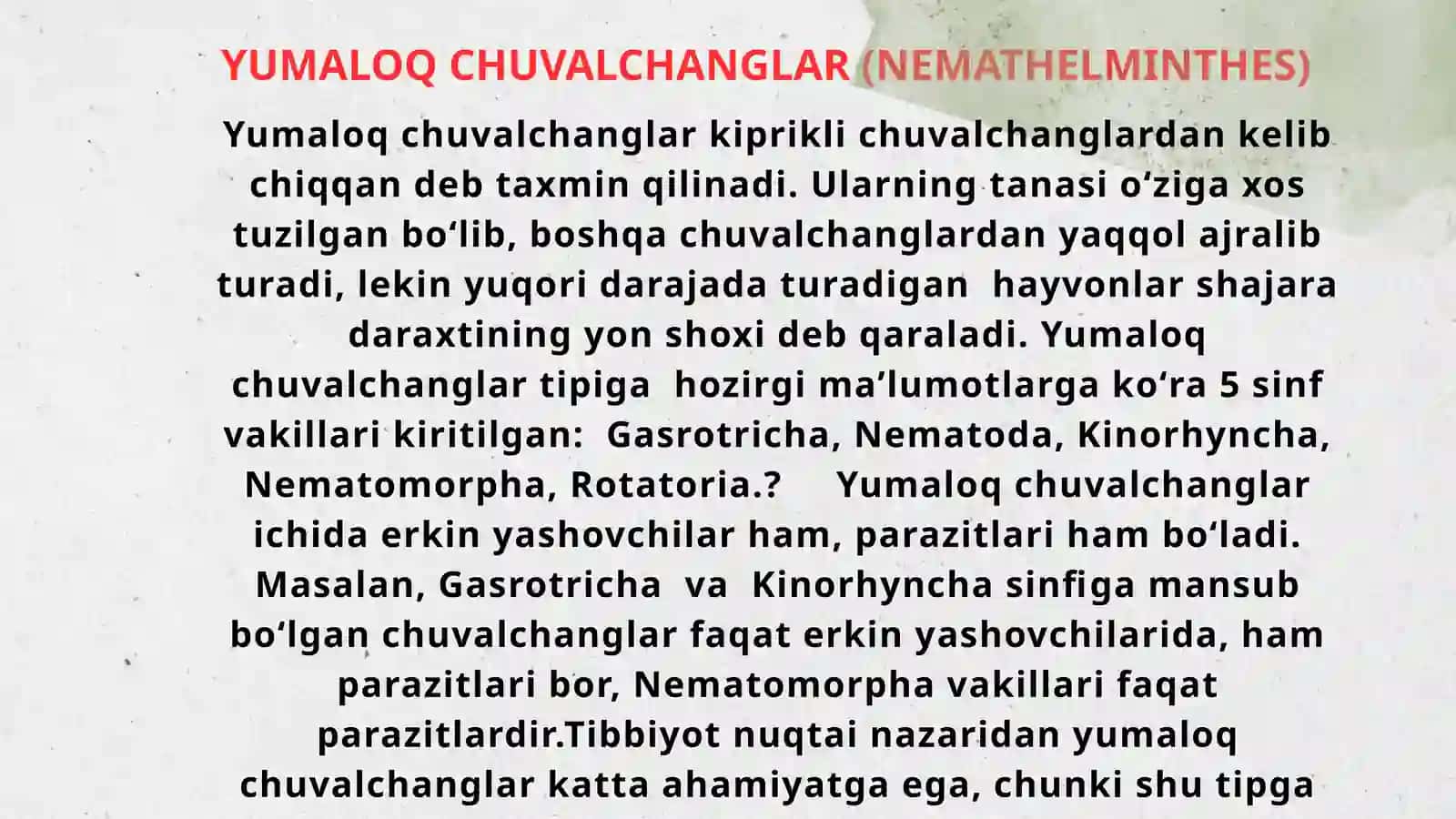 Yassi chuvalchanglar – odam parazitlari - so‘rg‘ichlilar jigar qurti, mushuk so‘rg‘ichi, lansetsimon so‘rg‘ich, o‘pka so‘rg‘ichi, shistosomalar (qon qurtlari). 2
