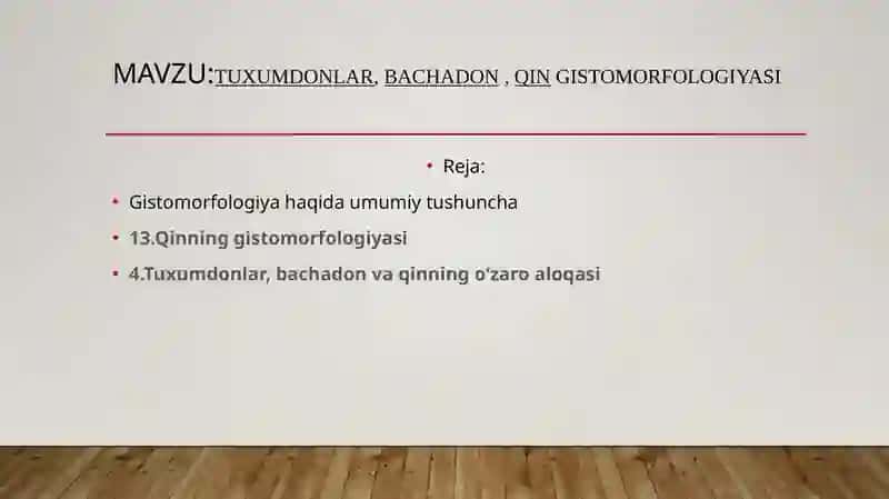 Tuxumdonlar, bachadon, qin gistomorfologiyasi 2