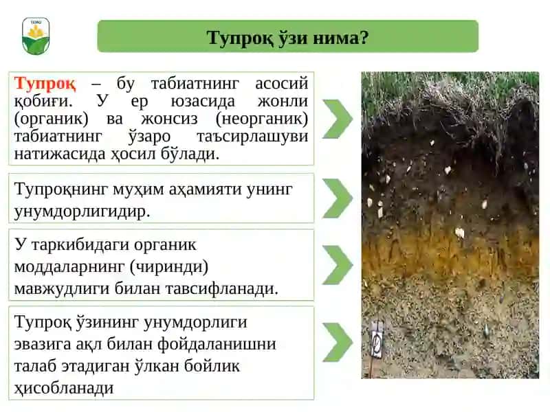 Tuproq gigienasi.  Aholi yashash joylarini tozalashning umumiy asoslari 2