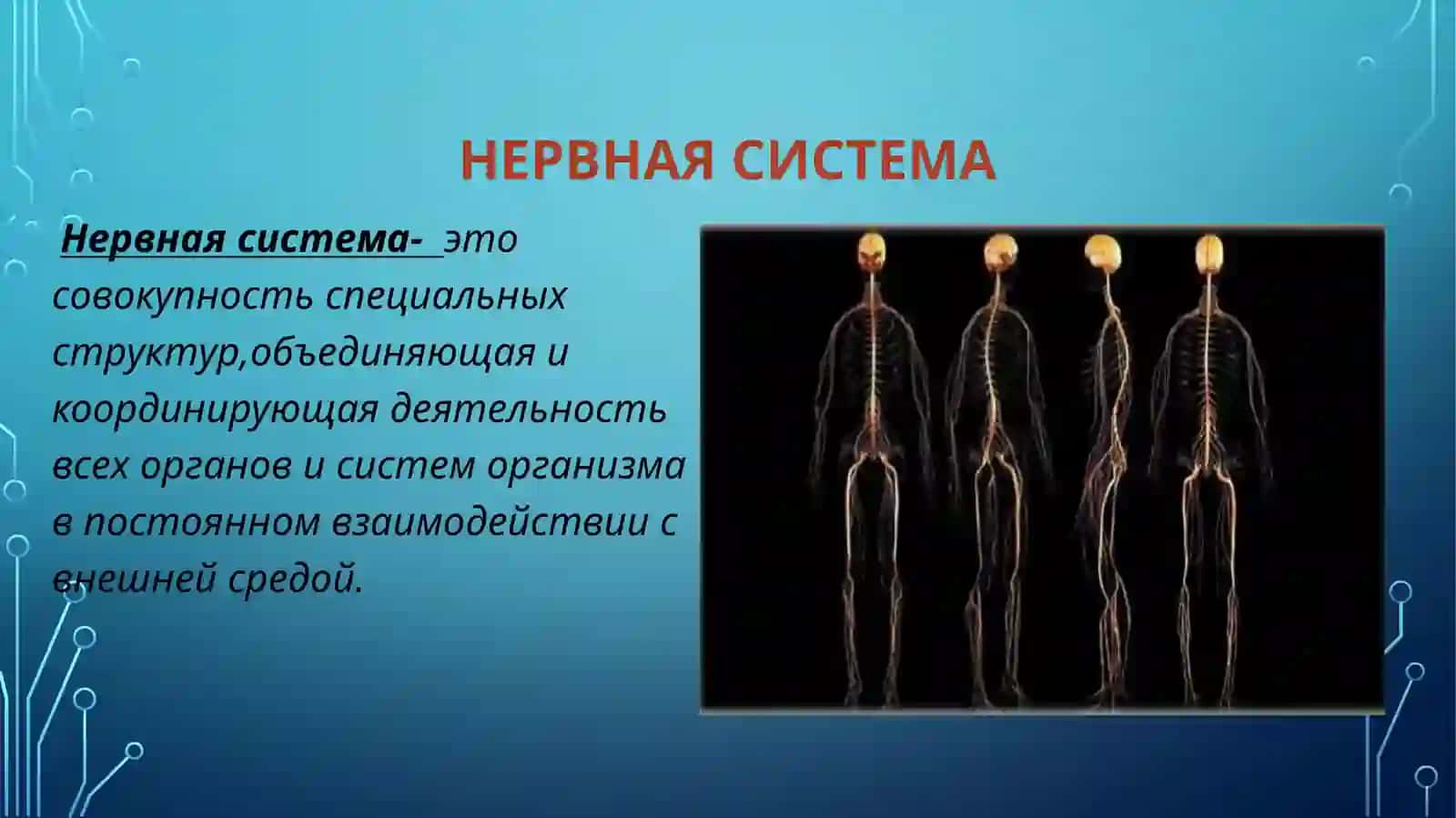 Гигиена нервной системы 2