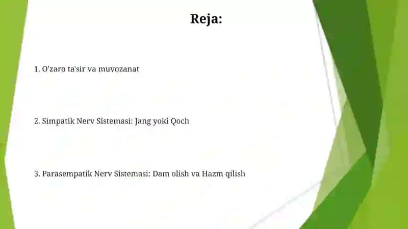 Vegetativ nerv sistemasining simpatik va parasimmatik qismi 2