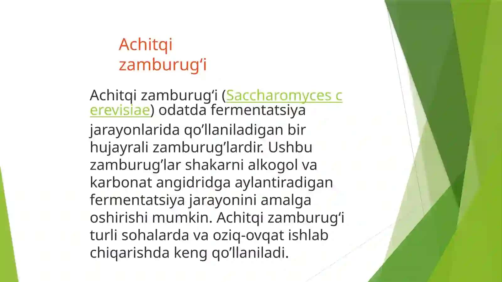 Achitqi zamburug‘i 2