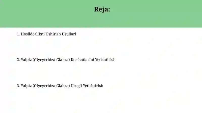 Yalpiz (Glycyrrhiza Glabra) Urug'i Yetishtirish 2