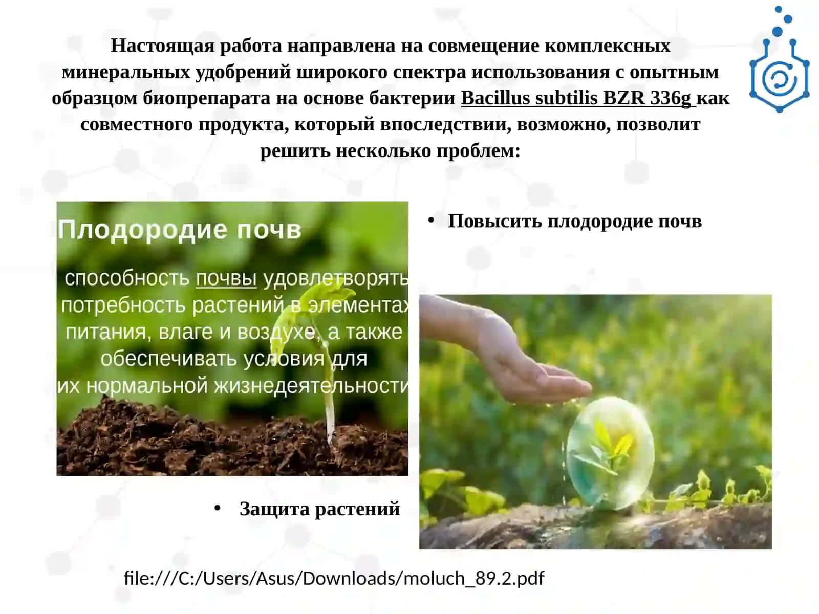 ИССЛЕДОВАНИЕ АКТИВНОСТИ ШТАММА BACILLUS SUBTILIS BZR 336G 2