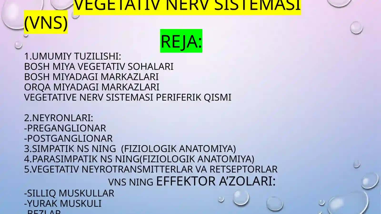vegetative NERV SISTEMASI 2
