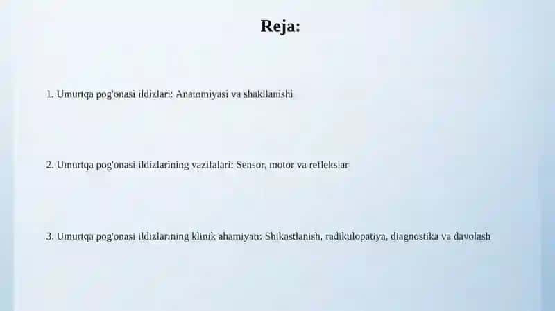 Umurtqa pog'onasi ildizlari: Anatomiyasi va shakllanishi 2