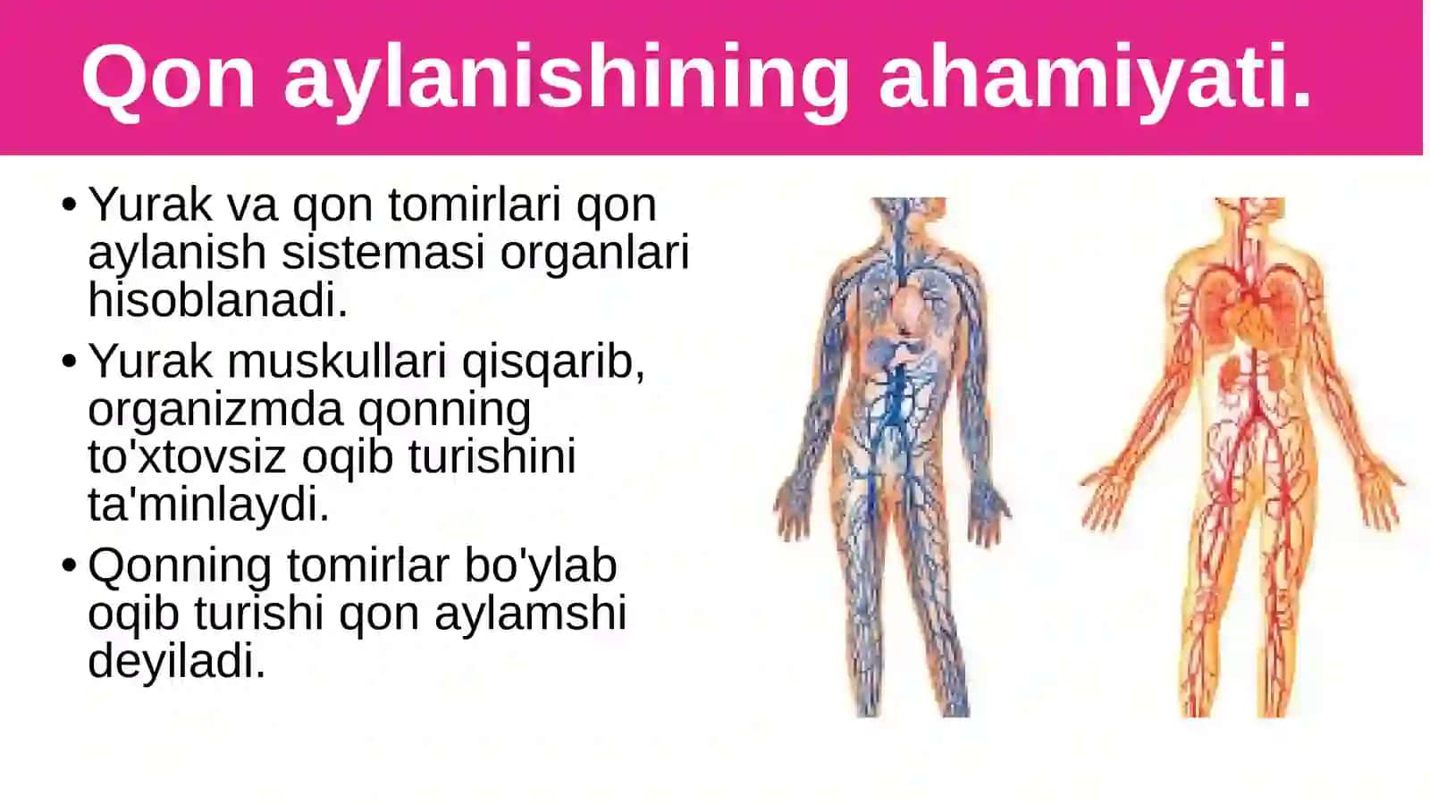 Biologiya Qonaylanishiningahamiyati,yurakningtuzilishi 2