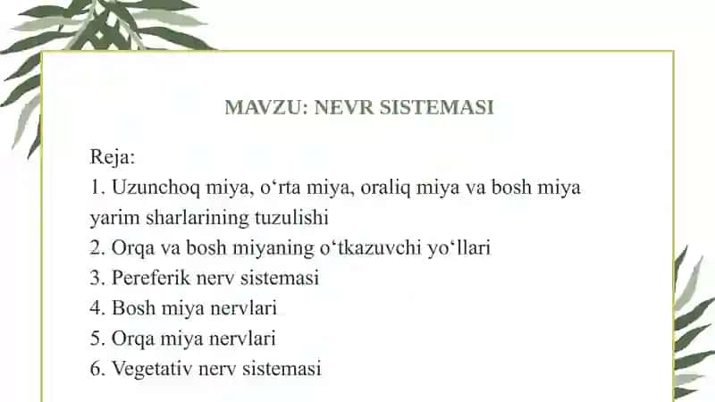 Mavzu: nerv sistemasi. Taqdimot 2