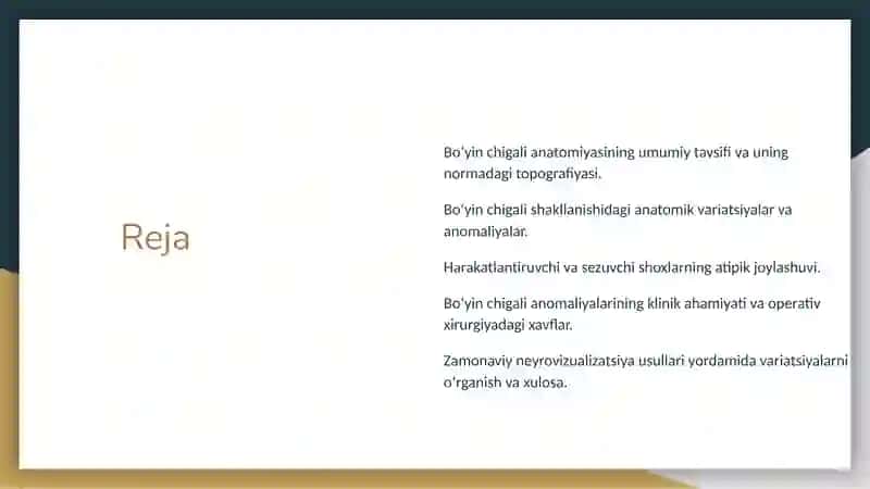 Boʻyin chigalida uchraydigan anomaliyalar 2