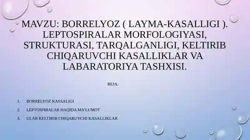 Borrelyoz (Layma-kasalligi) 2