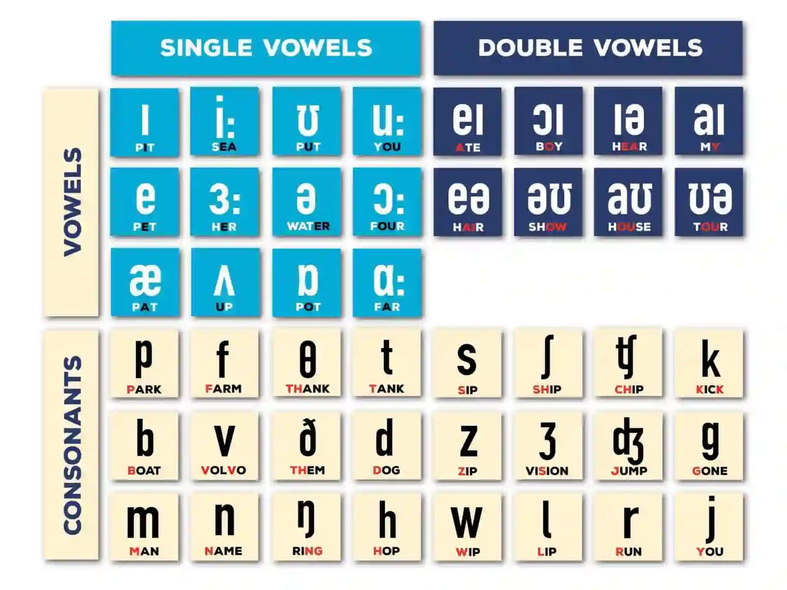 International Phonetic Alphabet (IPA) 2