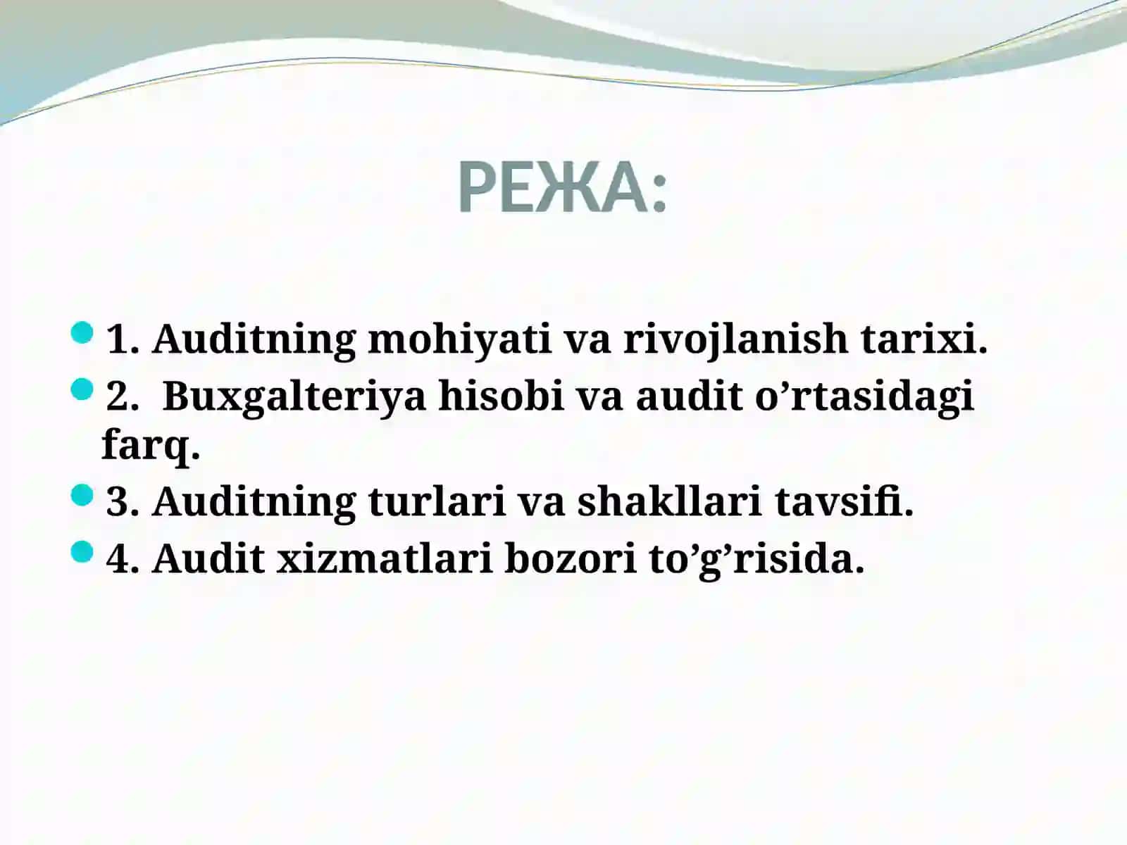 Auditga Umumiy Tavsif 2