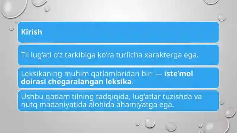 Iste’mol doirasi chegaralangan leksika 2