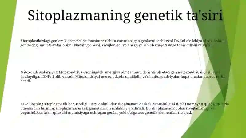Sitoplazmatik Irsiylanish 2