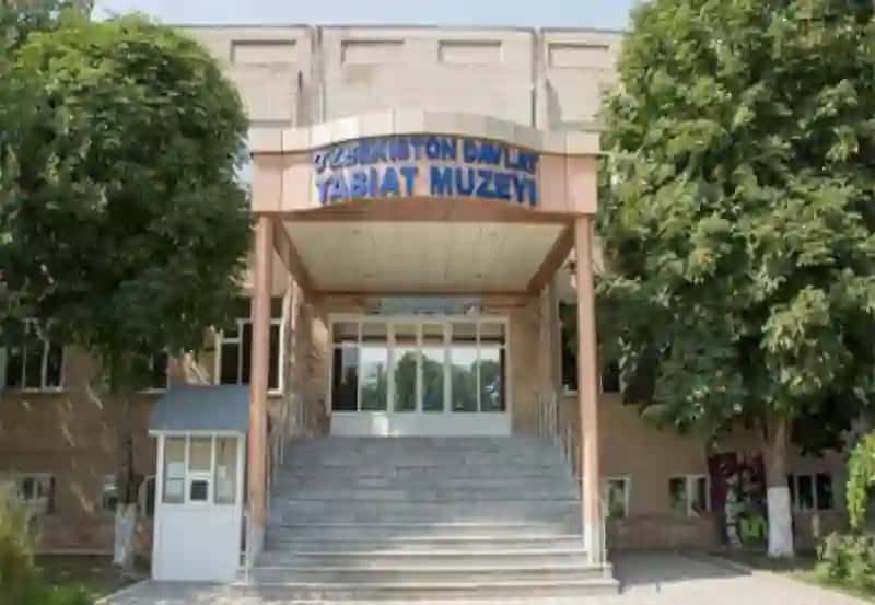 Virtualmuzeylar va ularning ahamiyati 2