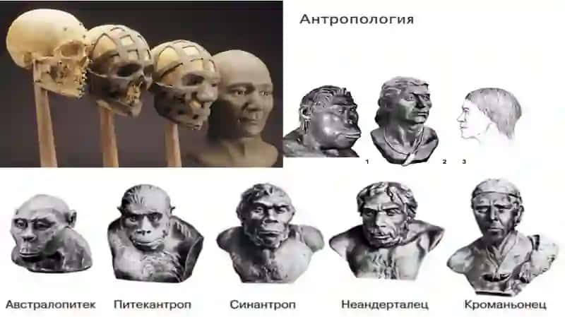 Paleontropologik va etnografik ma’lumotlar 2