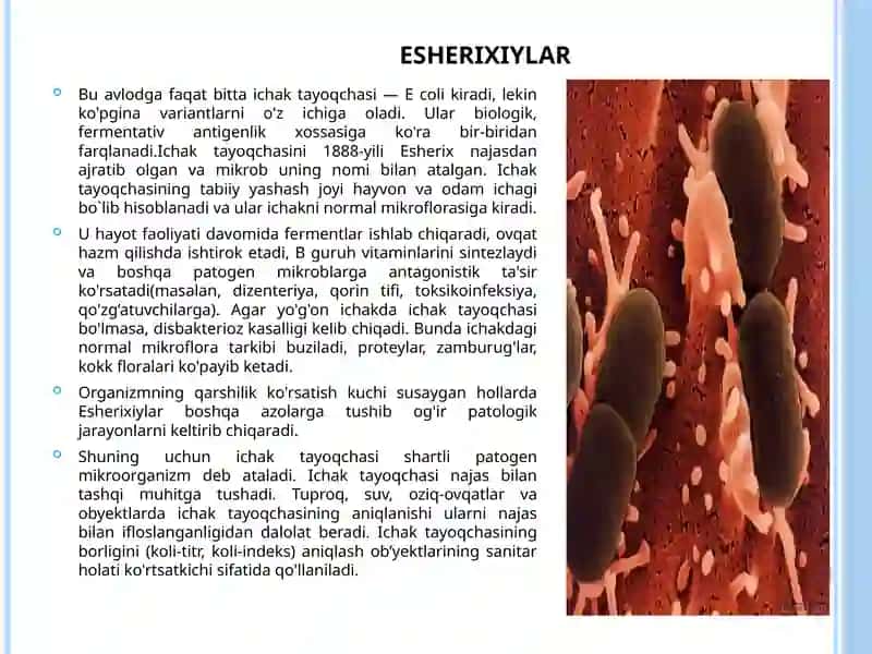 Esherixiozqo’zg’atuvchisi 2