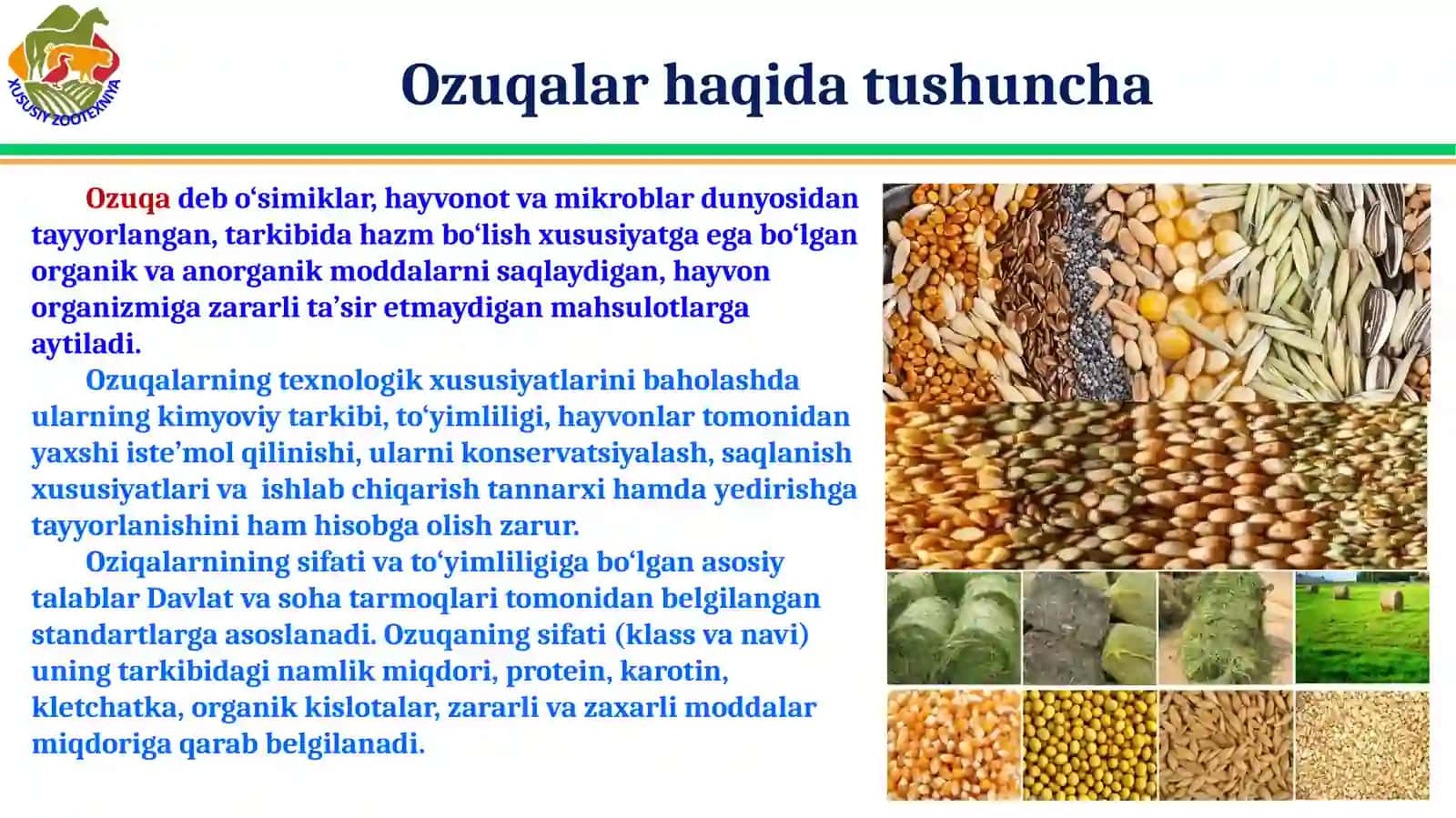 Adabiyotlar ba’zasidan 2