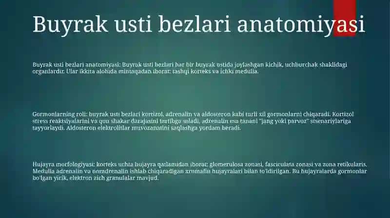 Stress Holatida Buyrak Usti Bezlari Bostlogi Garmonlarining Ro'Li Va Hujayralarining Marfalagik Korinishlari 2