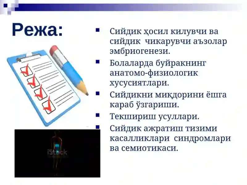 Болаларда сийдик ҳосил қилиш ва сийдик ажратиш тизими 2