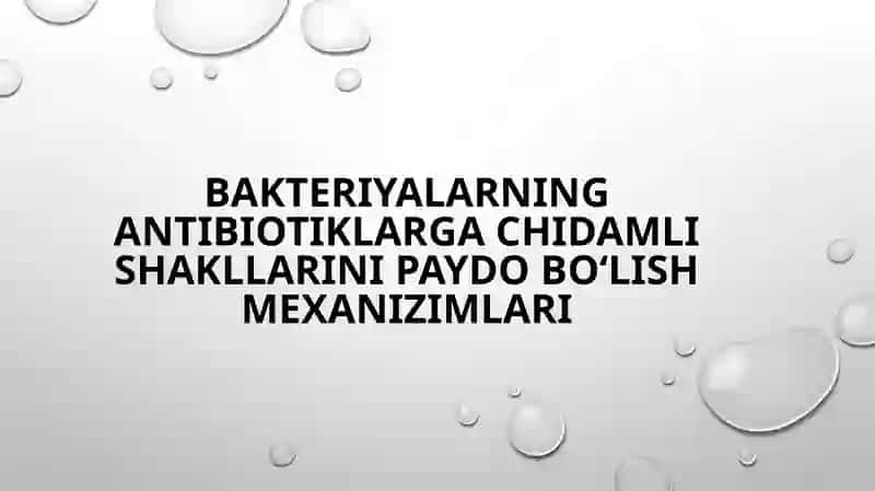 Bakteriyalarning antibiotiklarga chidamli shakllarini paydo bo‘lish mexanizmlari 2