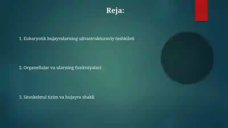 Eukariyot hujayralarning ultratrukturaviy tuzlishi 2