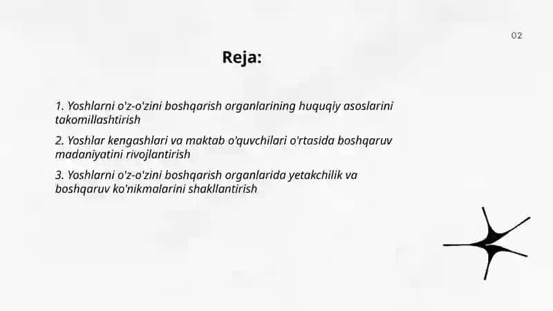 Yoshlarni õz-õzini boshqarish organlari faoliyatini rivojlantirish 2
