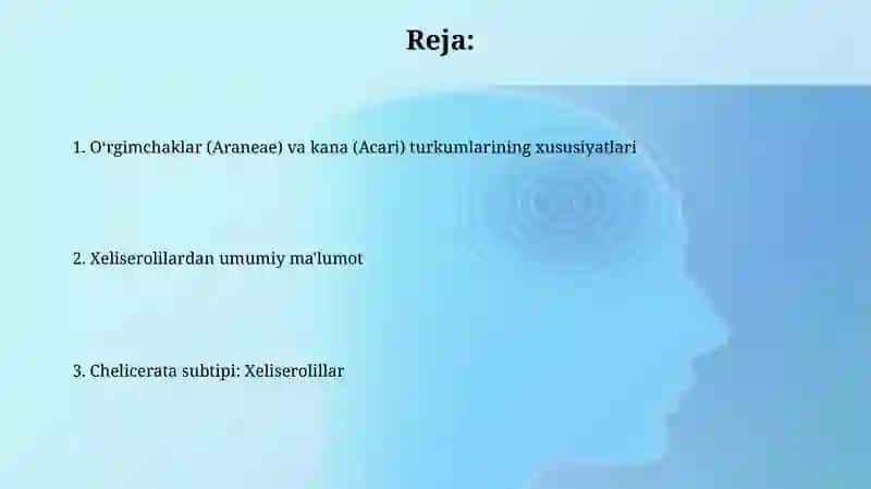 Xeliserolilar 2